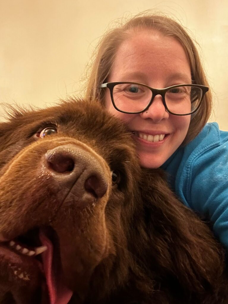 Beth RVN looking after Chester the Newfoundland